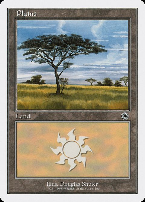 128-plains.jpg