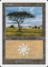 128-plains.jpg