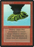 130-activevolcano.jpg