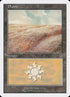 131-plains.jpg