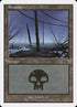 133-swamp.jpg