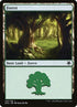 134-forest.jpg