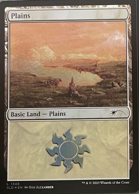 1348-plains
