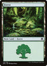 135-forest.jpg