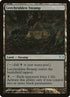 135-leechriddenswamp.jpg