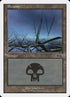 135-swamp.jpg