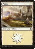 136-plains.jpg