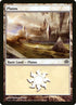 136-plains.jpg