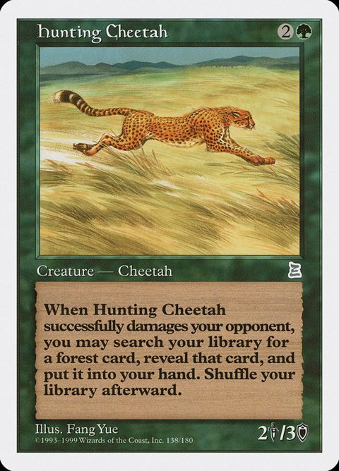 138-huntingcheetah.jpg