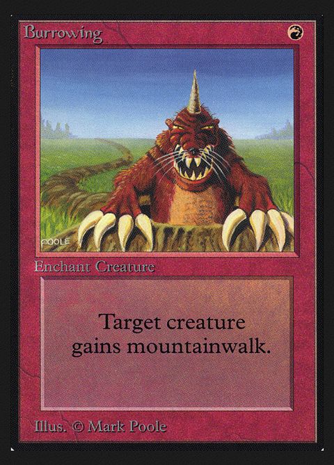 139-burrowing.jpg
