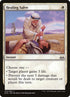 14-healingsalve.jpg