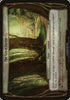 14-thegreatforest.jpg