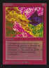 140-chaoslace.jpg