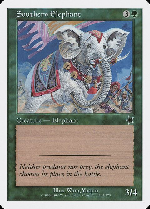 142-southernelephant.jpg