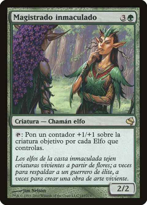 143-immaculatemagistrate.jpg