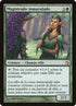 143-immaculatemagistrate.jpg
