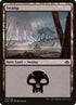 145-swamp.jpg