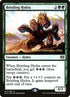 147s-bristlinghydra.jpg