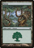 148-forest.jpg
