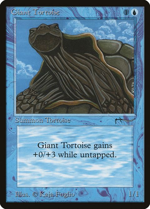 15-gianttortoise.jpg