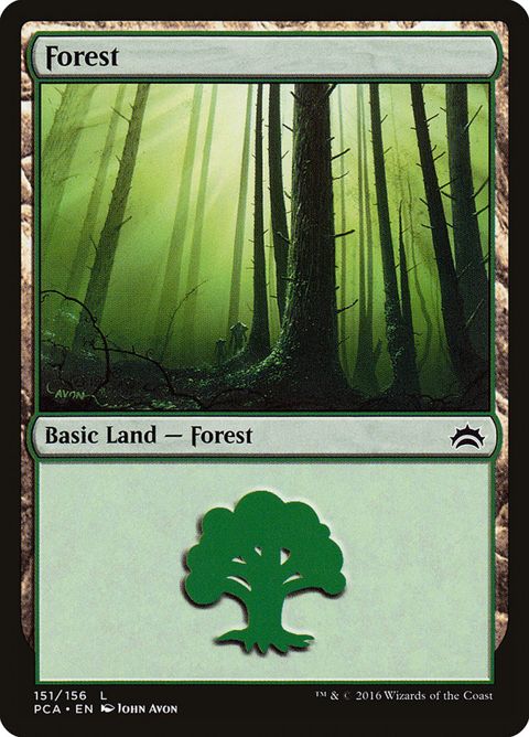 151-forest.jpg