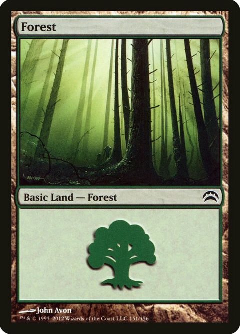 151-forest.jpg