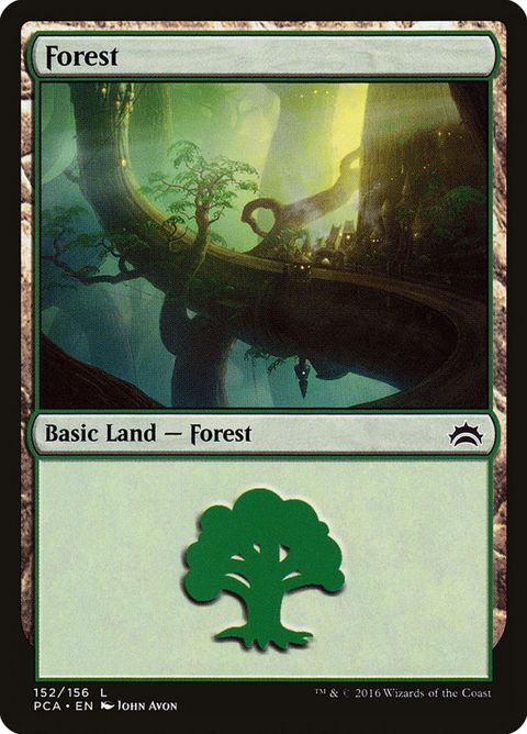 152-forest.jpg