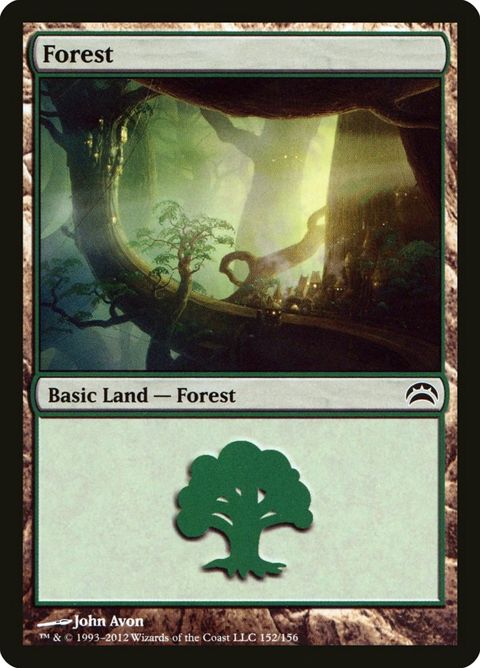 152-forest.jpg