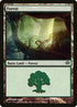 152-forest.jpg
