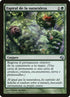 152-naturesspiral.jpg