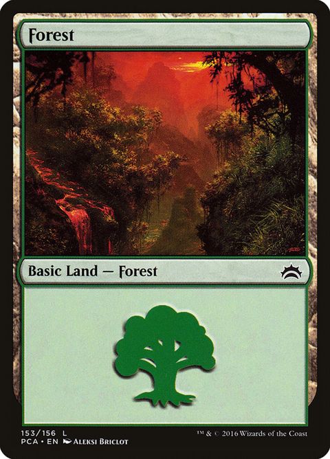 153-forest.jpg