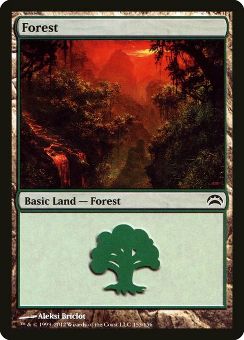 153-forest.jpg