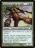 153-oakgnarlwarrior.jpg
