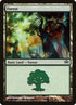154-forest.jpg