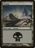 154-swamp.jpg