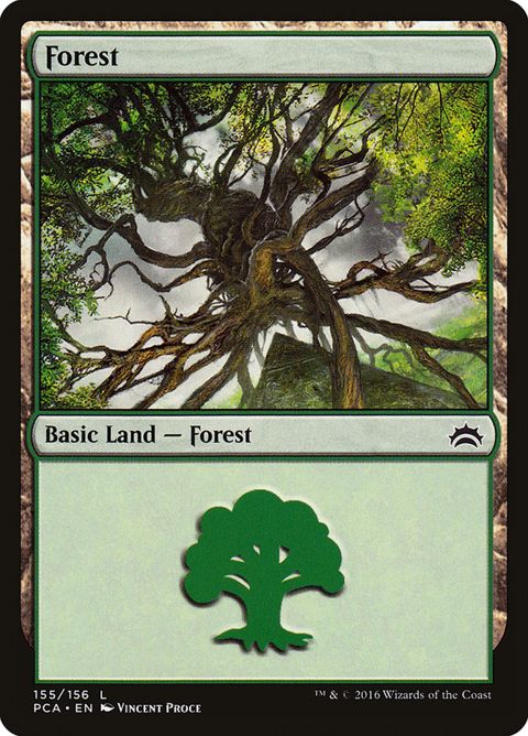 155-forest.jpg