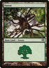 155-forest.jpg