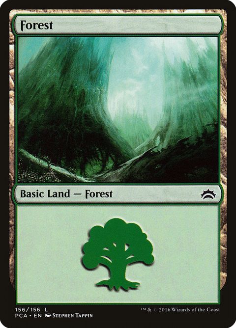 156-forest.jpg