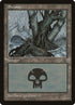 157-swamp.jpg