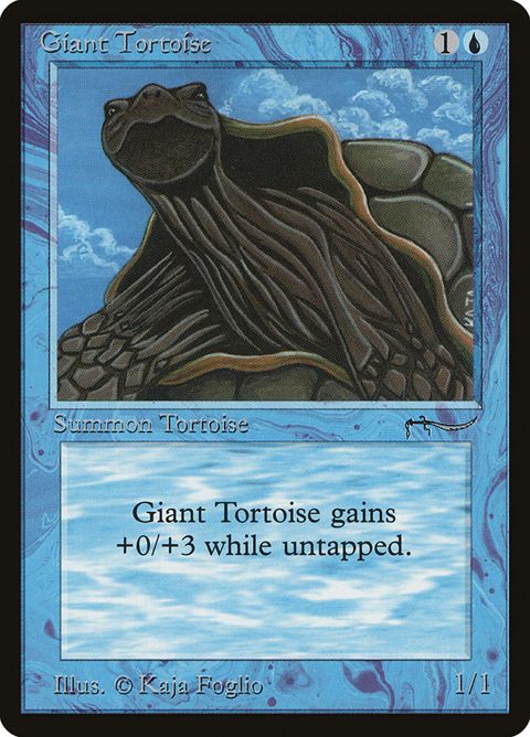 15†-gianttortoise.jpg