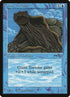 15†-gianttortoise.jpg