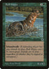 160d-bullhippo.jpg