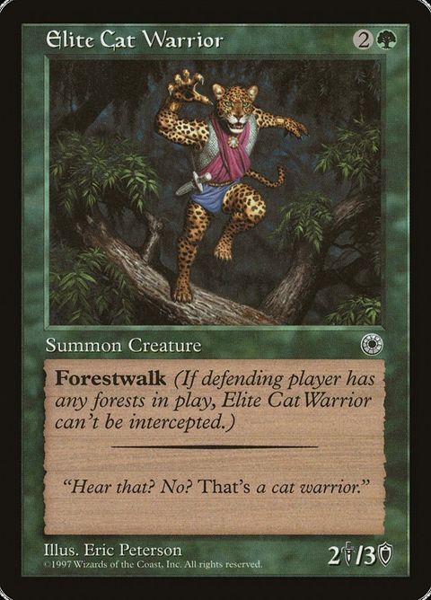 163-elitecatwarrior.jpg
