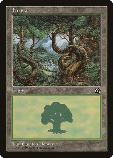 163-forest.jpg