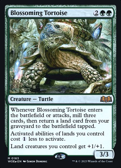 163s-blossomingtortoise.jpg
