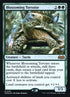 163s-blossomingtortoise.jpg