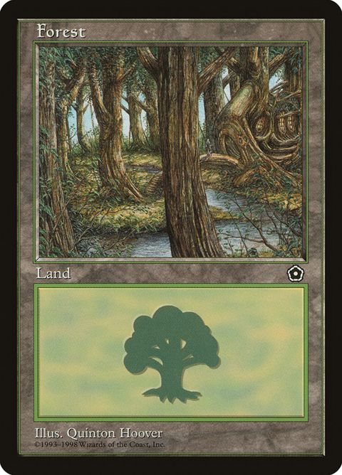 164-forest.jpg