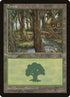 164-forest.jpg