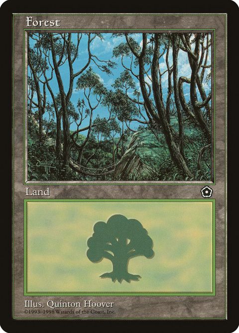 165-forest.jpg