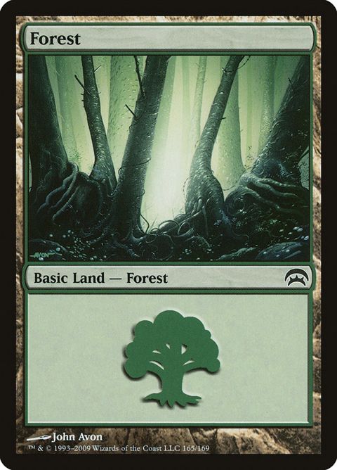 165-forest.jpg